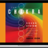 David Ison – The Chakra Sound System – Sounds True