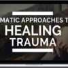 Albert Wong – Somatic Approaches To Healing Trauma