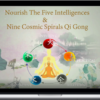 Andrew Kenneth Fretwell – Nourish The 5 Intelligences And 9 Cosmic Spirals