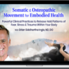 Brian Siddhartha Ingle – Somatic & Osteopathic Movement For Embodied Health
