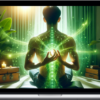 Law Energy Fields – Pain Relief