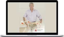 Tom Myers – The Science of Bodywork #1: Unfolding Evolution