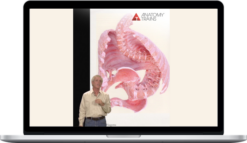 Tom Myers – The Science of Bodywork #2 Embryology Of Fascia