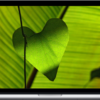 True Power Fields – Heart Protection & Healing & Restoration