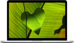 True Power Fields – Heart Protection & Healing & Restoration