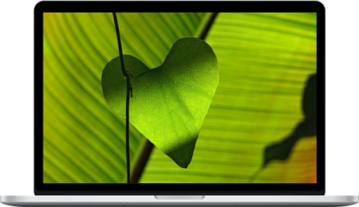 True Power Fields – Heart Protection & Healing & Restoration