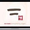 Yuan Tze – Strengthening Organs | Xia Yuan