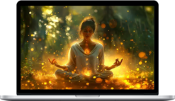 Centre of Excellence – Prana Energy Healing Diploma Course