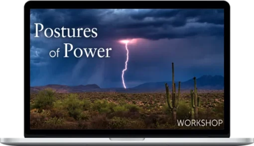 Lee Holden – Postures Of Power Workshop