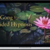 Lee Holden – Qi Gong For Guided Hypnosis