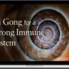Lee Holden – Qi Gong for A Strong Immune System Workshop