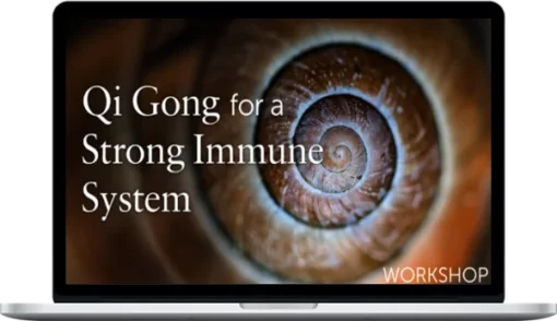 Lee Holden – Qi Gong for A Strong Immune System Workshop
