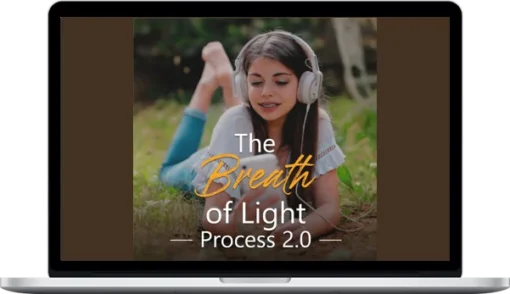 Level 5 Mentoring – Breath Of Light Process 2.0