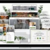 Scholistico – The Complete Therapeutic Arts Bundle