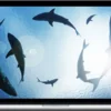 Hypnosis Audio – Overcome Hypervigilance