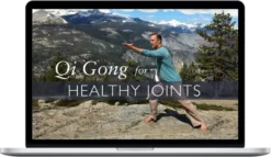 Lee Holden – Qi Gong for Healthy Joints