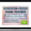 Janina Fisher, Kathy Steele & Greg Nooney - Dissociation-Focused Trauma Treatment
