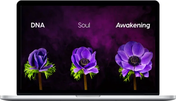 Roy Martina – DNA Soul Awakening Roy Martina – DNA Soul Awakening