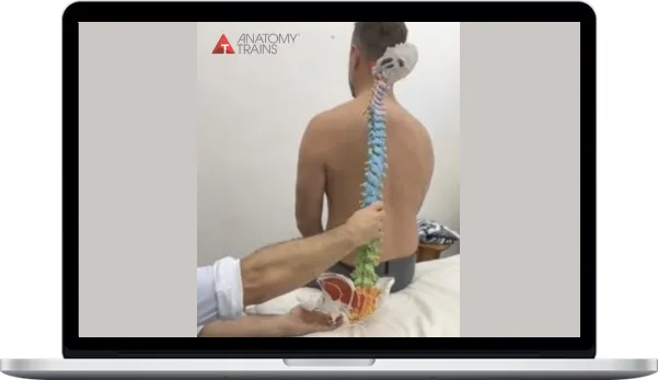 Michael Watson – Shoulder & Thoracic Spine Assessment, Strategy and Treatment Michael Watson – Shoulder & Thoracic Spine Assessment, Strategy and Treatment