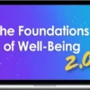 Rick Hanson – The Foundations Of Well-Being 2.0