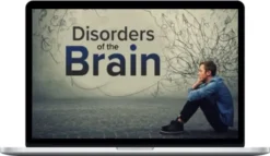Sandy Neargarder – Understanding Disorders Of The Brain