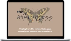 Alyse Bacine – The Metamorphosis