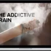 Thad Polk – The Addictive Brain
