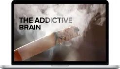 Thad Polk – The Addictive Brain
