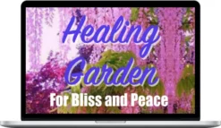 Wendi Friesen – Healing Garden