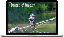 Court Of Atonement – Dangers Of Jealousy