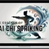 Phoenix Mountain Tai Chi – The Essence of Tai Chi Striking