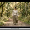Phoenix Mountain Tai Chi – Effortless Walking - The Tai Chi Method for Balance, Lightness, and Power